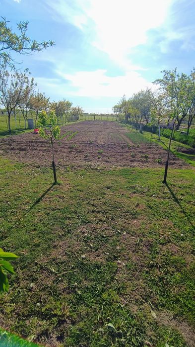 Casă de vânzare  în localitatea Sabolciu, 1650 mp