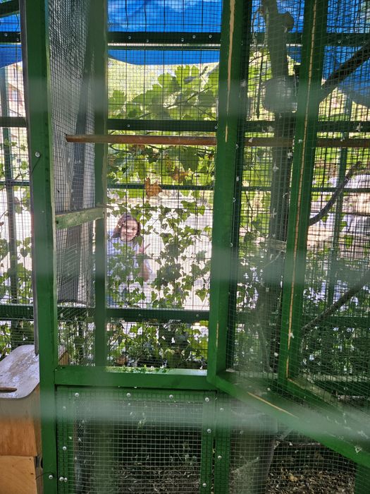 Большая клетка для птиц