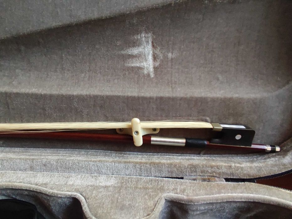 Електрическа Виола