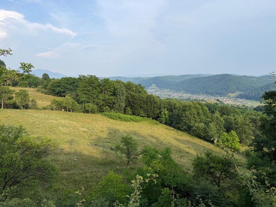 Teren cu livada si casa