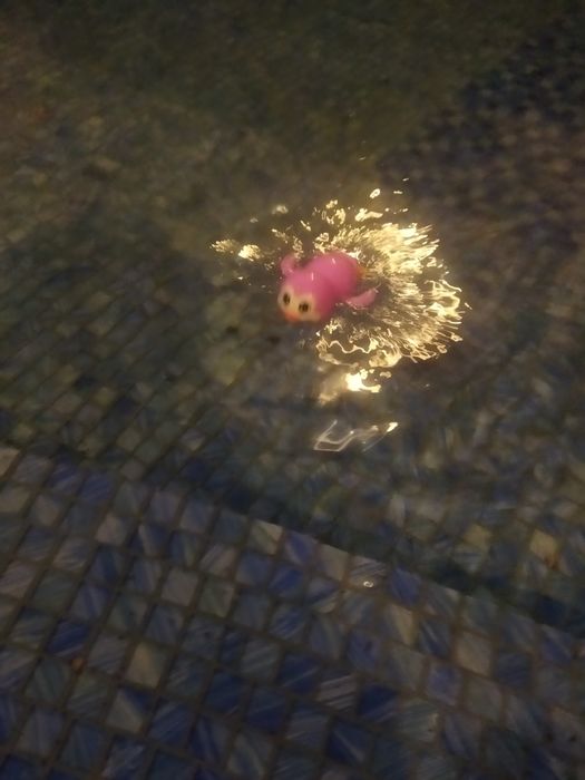 Заводная водяная игрушка пингвин