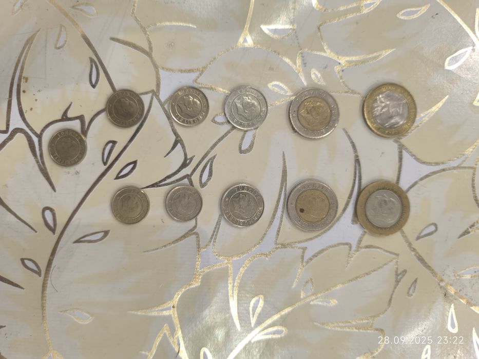 Tangalar/монеты So'm, Rubl, Yuan, Lira