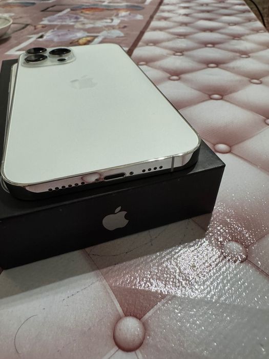 iPhone 13 Pro Max ideal