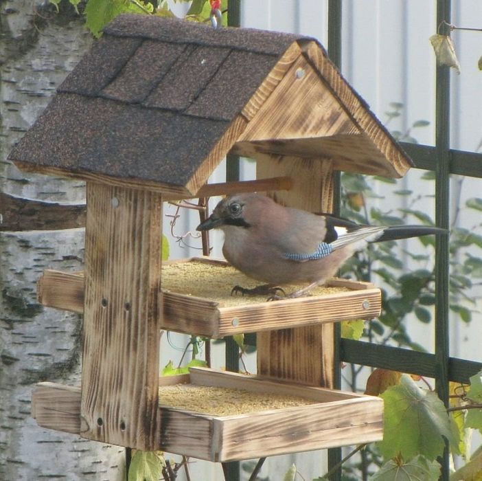 Кормушка для птиц, скворечник