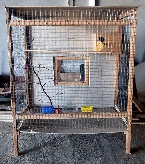 Qafas qushlarga(to'tilarga)