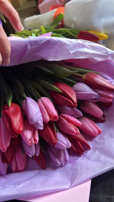 Тюльпаны оптом и в розницу