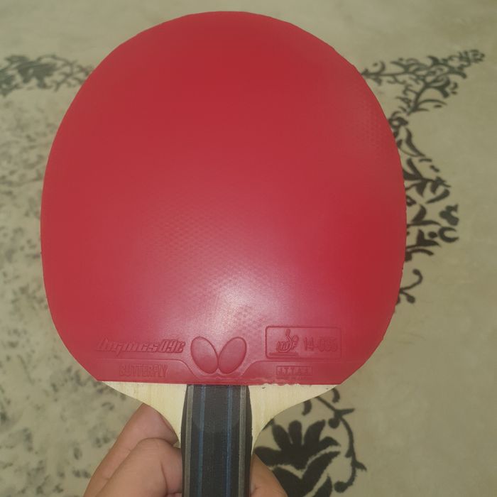 Fan zhen dong ALC   Dignics09c