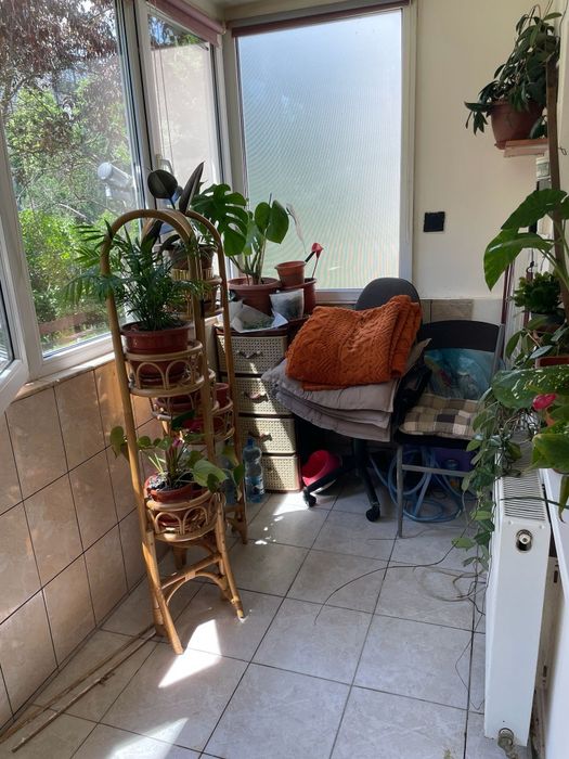 Vând apartament 3 camere la parter intr un bloc cu 4 etaje in Micalaca pe str Nucet lângă parcul Orizont. 2 dormitoare un living,2 bai bucătărie mare