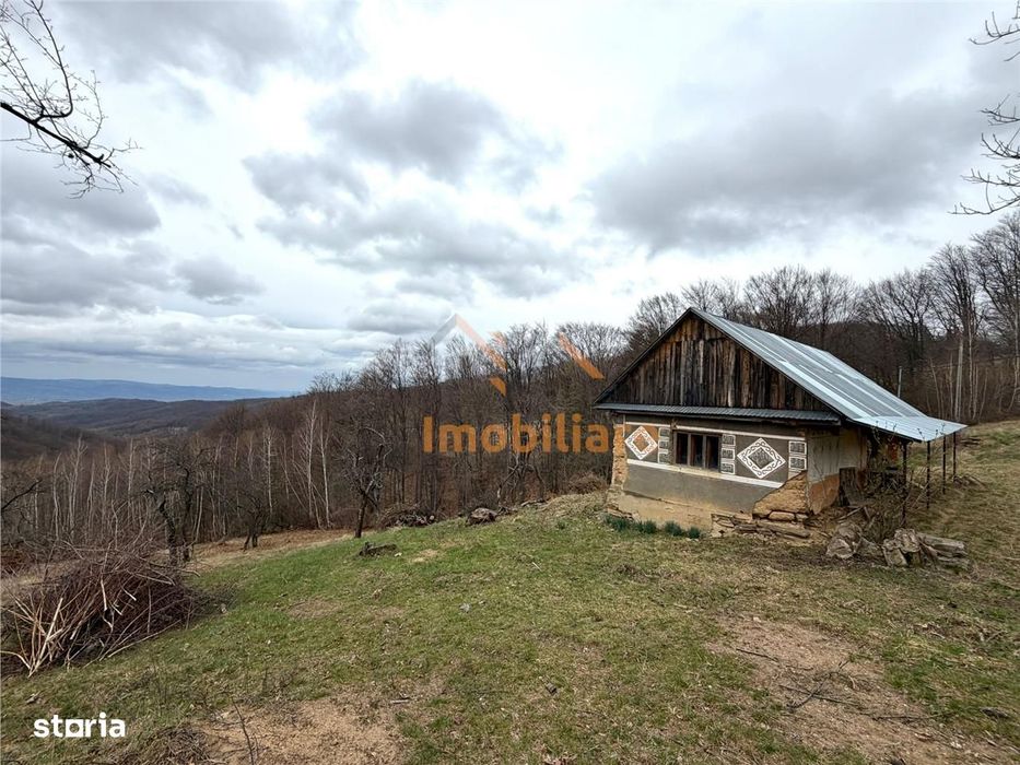 Teren 34.000 Mp | Serani Bihor