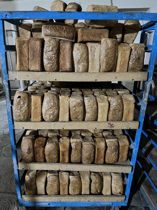 Brak non sotiladi quylar va tovuqlarga