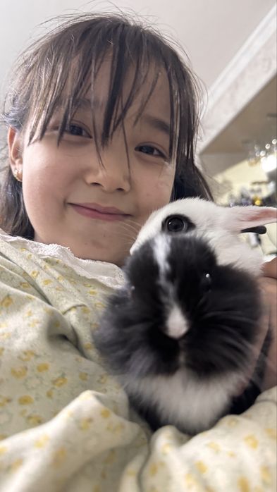 Karlikivi quyoncha 2 oylik 100 min dan