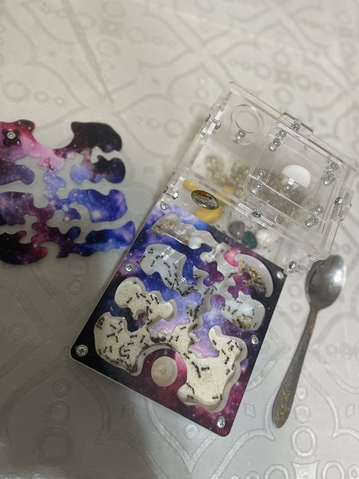 Муравьиная ферма