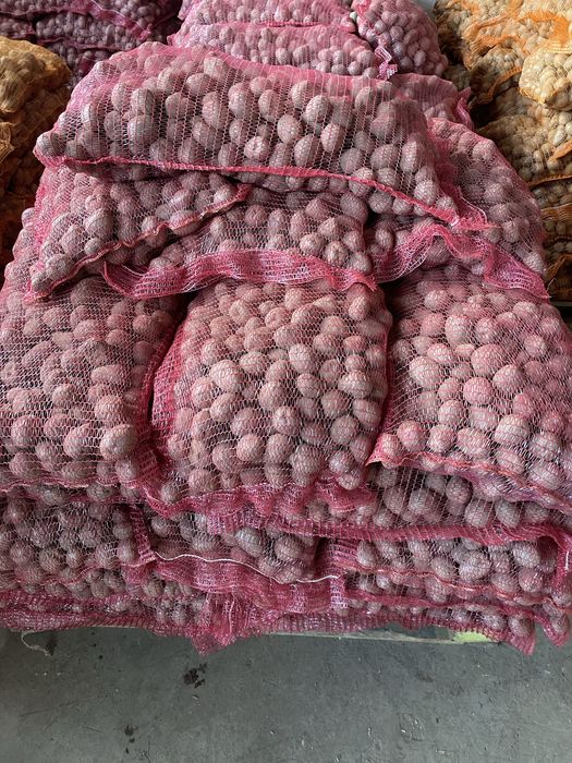 Cartofi consum si animale