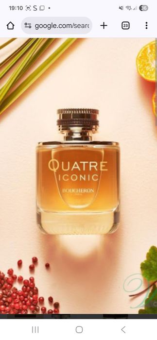 Bucheron Quatre Iconic