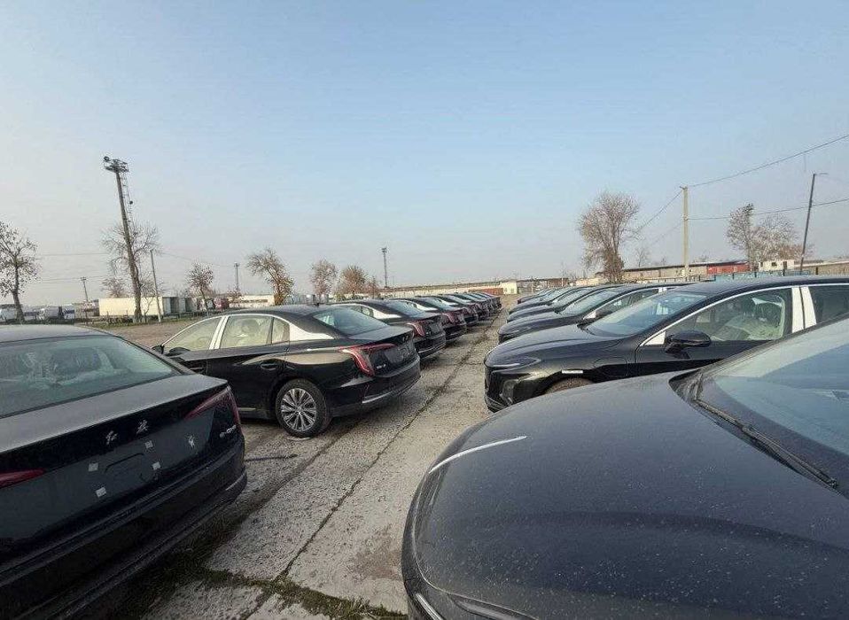 hongqie e-qm5 rassrochka bor 0 probeg