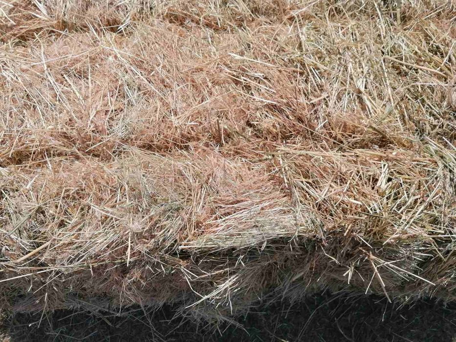 Фуражна царевица. Люцерна.сено