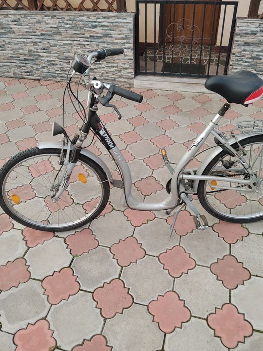 Bicicleta.   dama