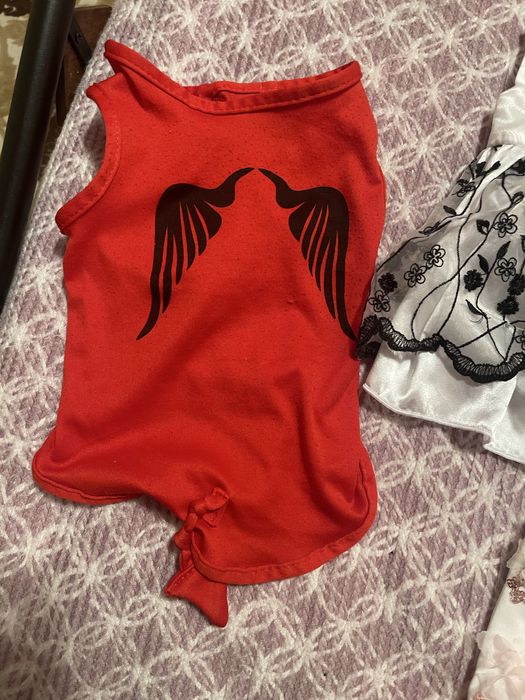 Одежда для собак мелких пород