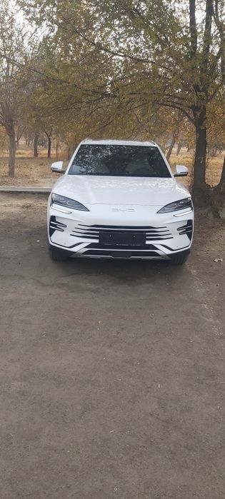 BYD Chempiyon xizmati