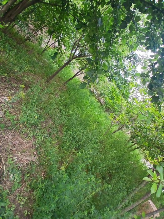 Ховли  йер сотилади