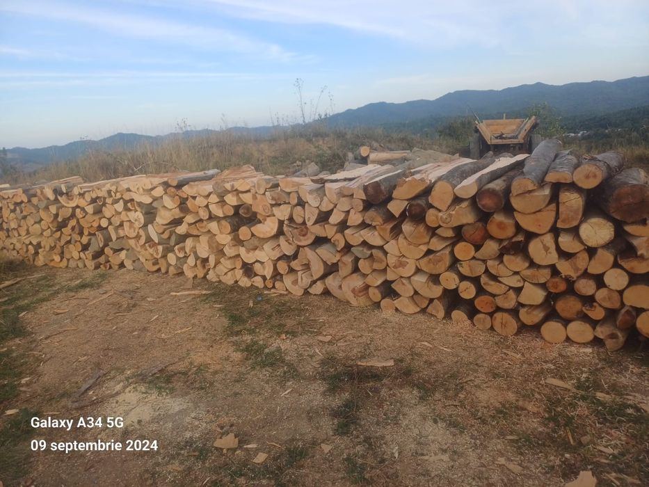 Lemne de foc , esență fag !!