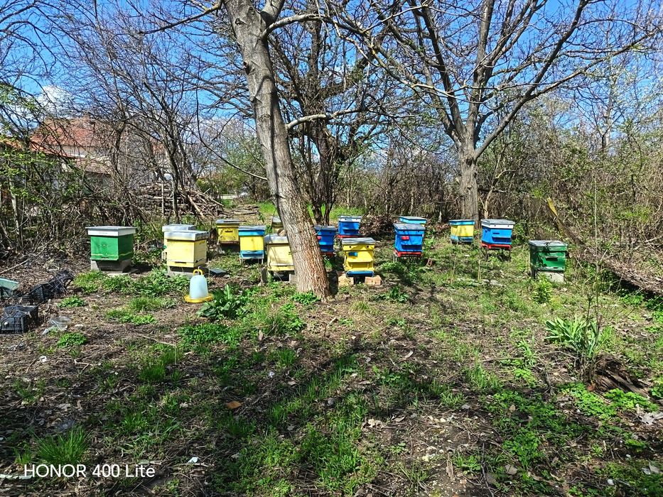 Пчелни кошери с рамки и мед