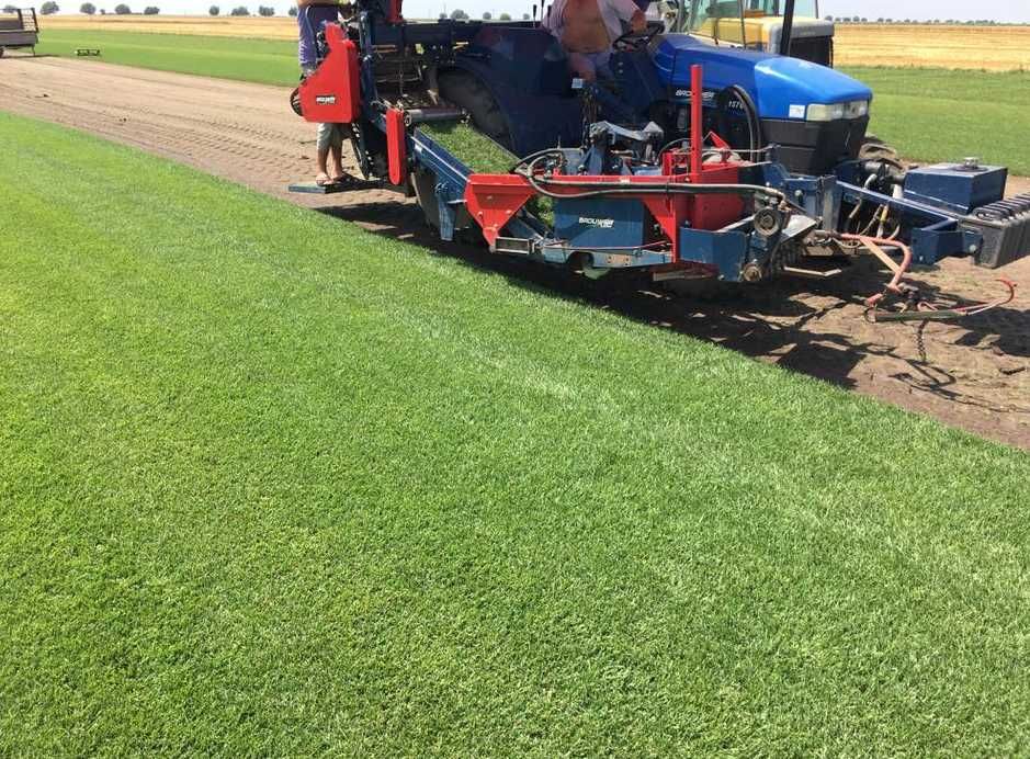 Soluții Complete: Gazon, Irigare, Montaj