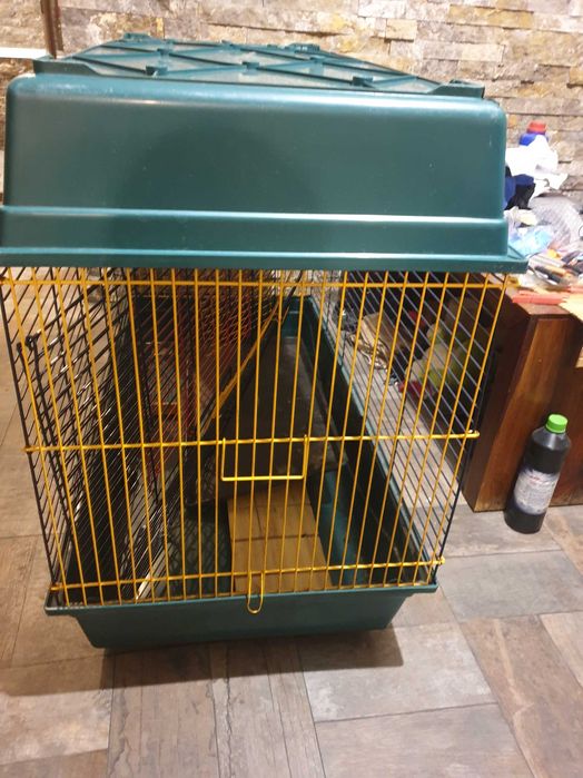 Cusca animale de companie