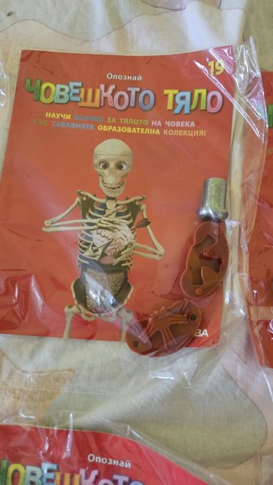 Опознай човешкото тяло