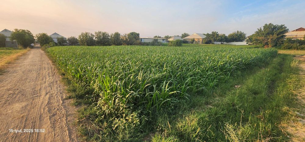 Uy-joy qurish va dehqonchilik uchun qulay yer maydoni sotilmoqda.