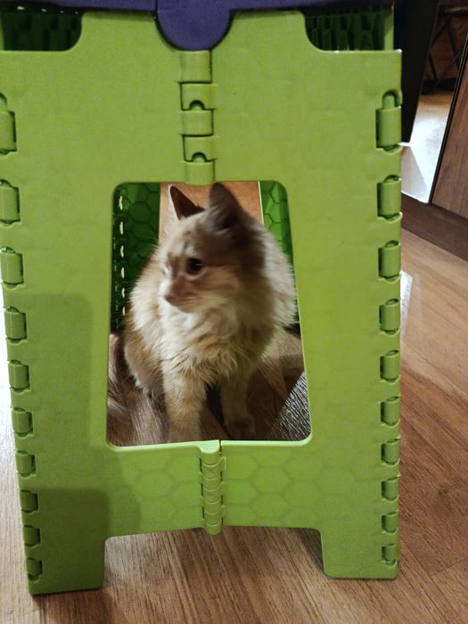 Продам кубовки пищевые.