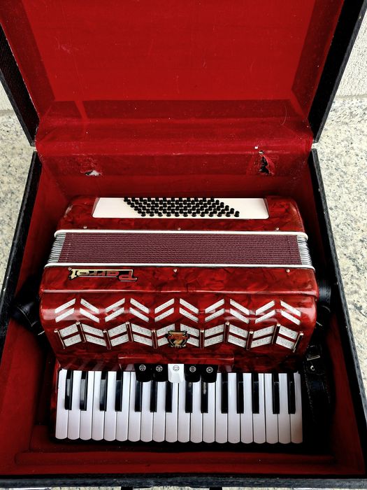 Acordeo Parrot cu 72 basi