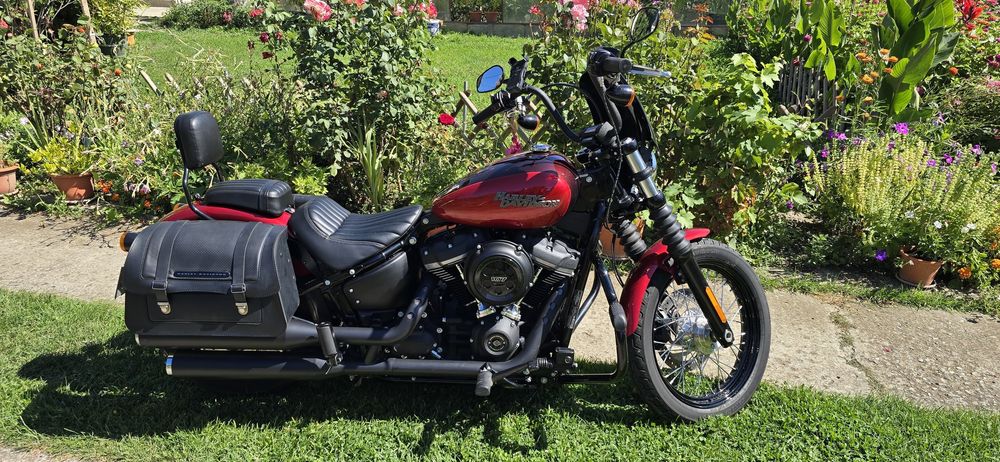 Harley Davidson Softail Street Bob / 2019 / 5900km / ca nou