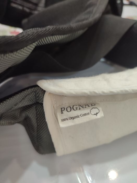 Хипсид Pognae корейский