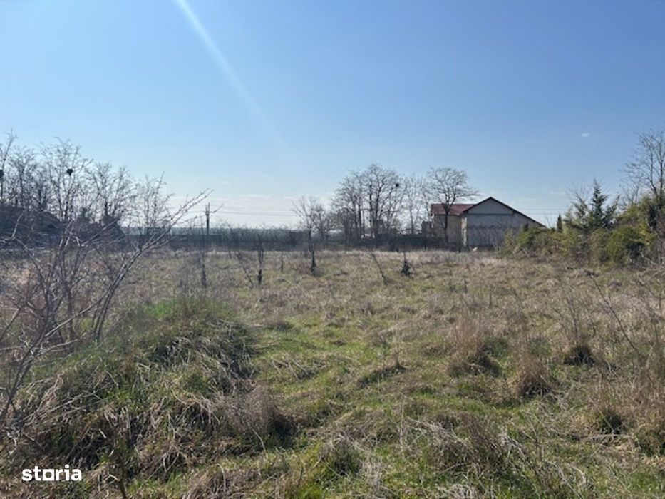 Vadu Corbu Teren superb 1000 mp investitie sau casa de vacanta