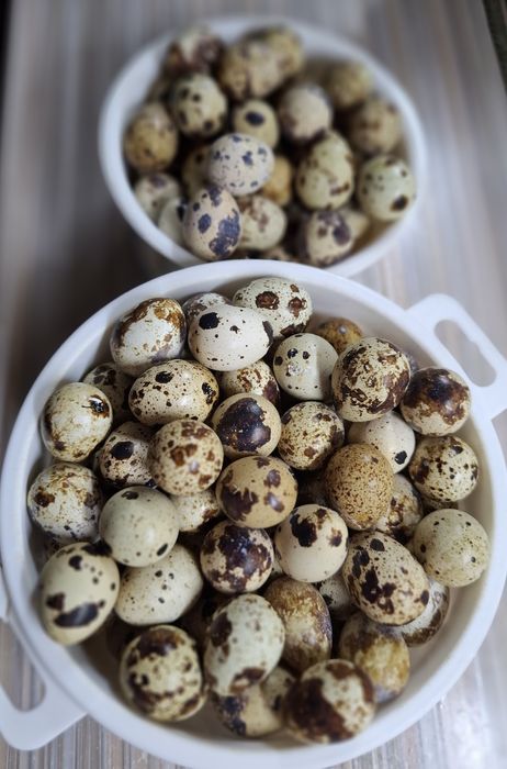 Перепелиные яйца