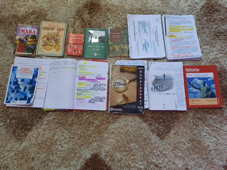 Vând carti pentru bac ,pot oferi și pdf