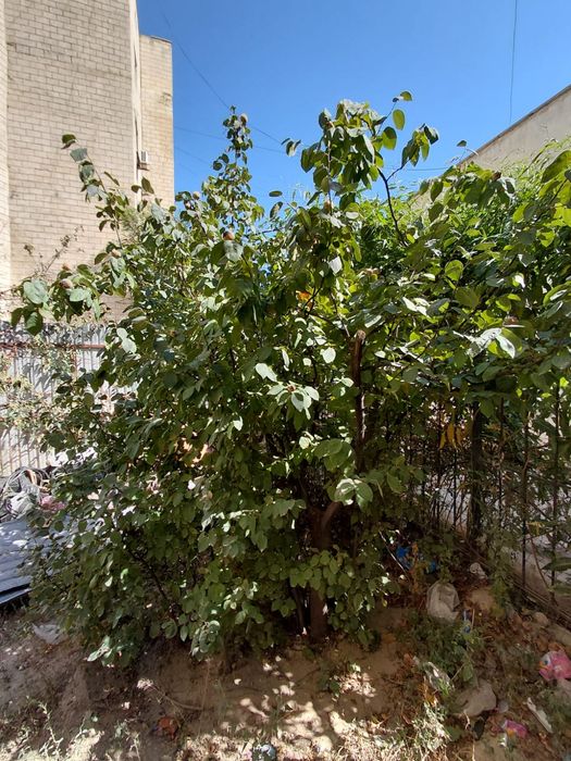 Продам 3х комнатную квартиру