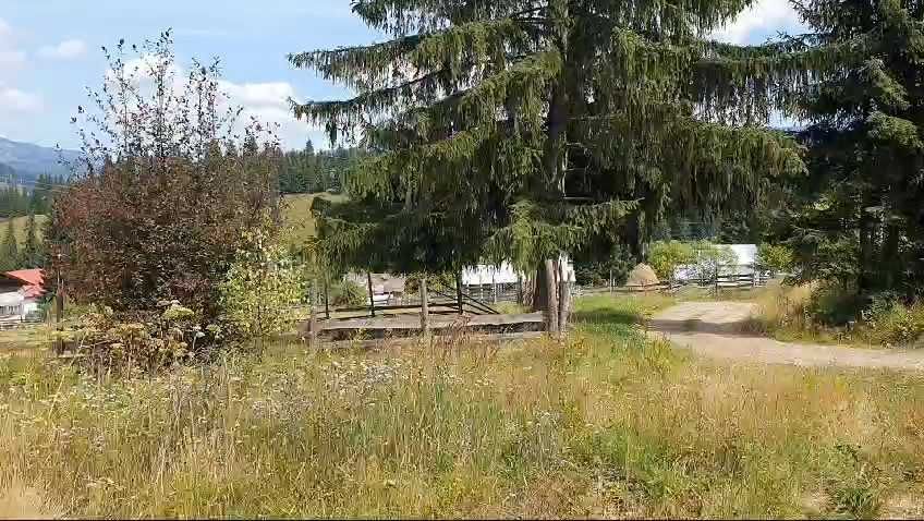Teren intravilan superb, 1477 mp, intrare Vatra Dornei din Dorna Arini, panorama Rarau si Giumalau