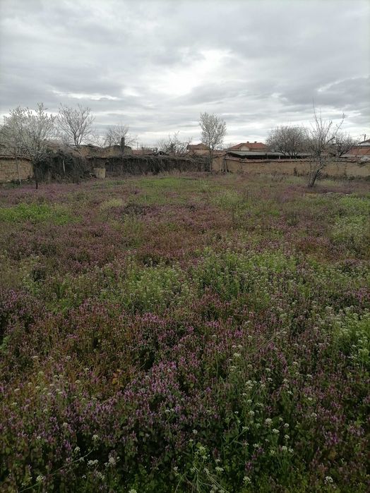 Продава се Парцел в Хисаря - 700 кв.м за 16 €/кв.м - Снимка #5
