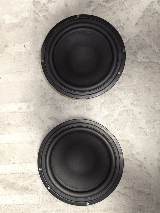 Динамики 22см 5 Ом.