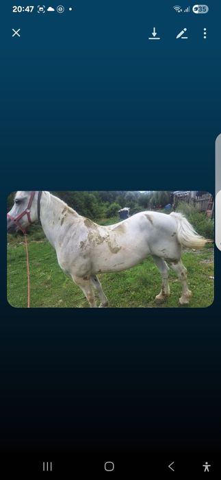 Iapa de vanzare  sau skimb