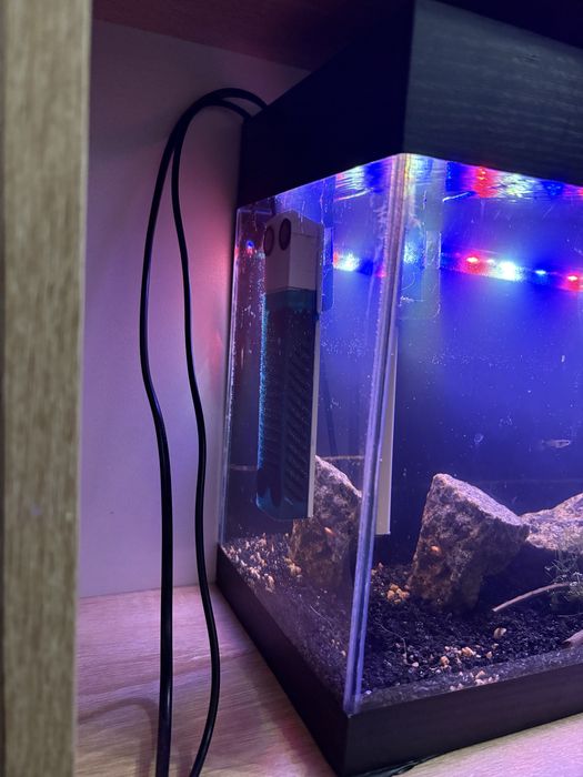 Продаи аквариум обьемом около 15 литров