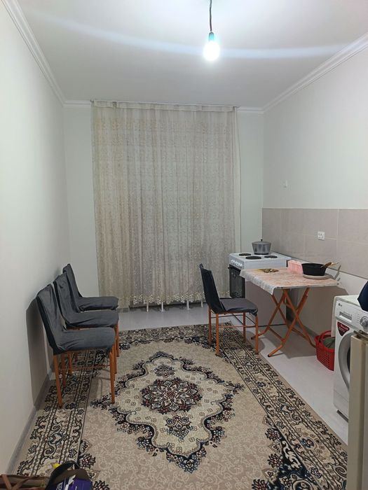 Tőytepa nurafahonda