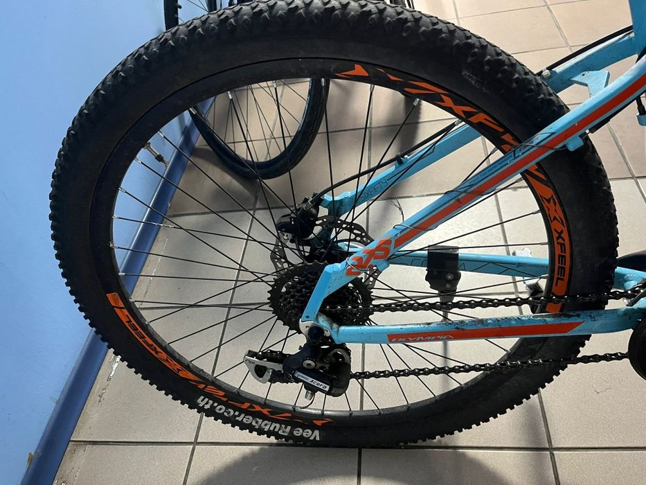 Bicicletă Olympia Cobra 650 Amanet BKG