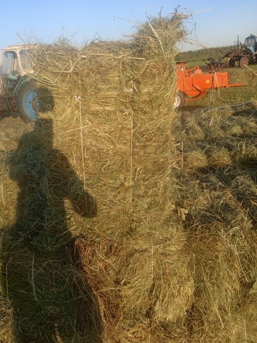 Продам Сено в тюках
