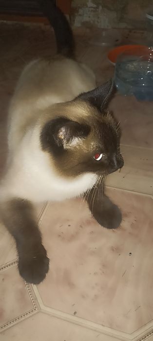 В самые ответственные руки