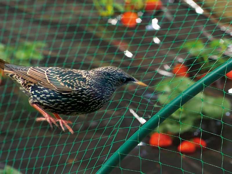 Мрежа за защита от косове
