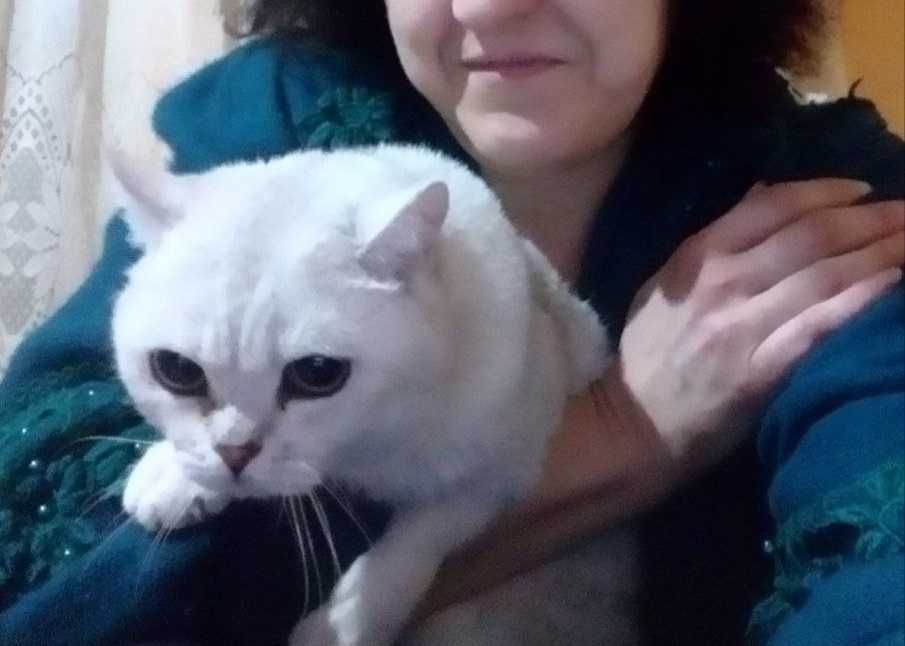 Помощь по уходу за животными