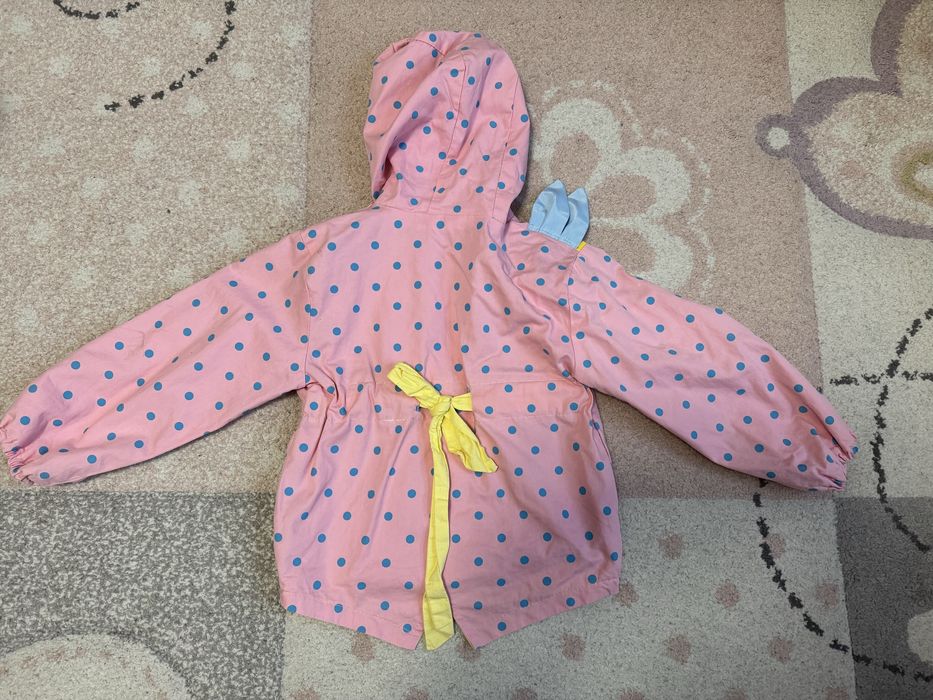 Lot gecute primavara